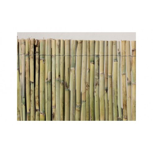 Cañizo Natural Partido Nacional Non 2x5 M