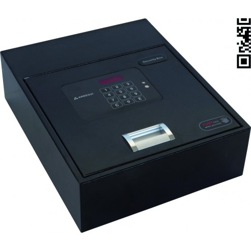 Caja Fuerte Ocultacion Arregui Basa/Zocalo