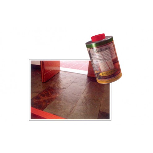 Protector Antimanchas con Efecto Mojado Monestir Bellatrix 1L