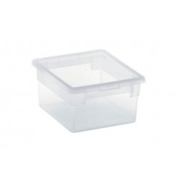 Caja Multiusos Light Box Transparente Terry 2,5 L