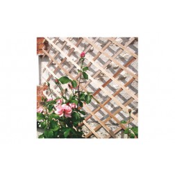 Celosia Extensible Madera Trelliwood 1x2 M