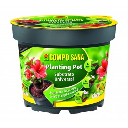 Maceta Plantacion ' Planting Pot ' Compo Diam.22 cm